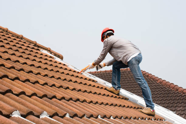 Best Commercial Roofing Services  in Davis Junction, IL