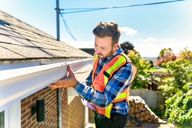 Best Sheet Metal Roofing  in Davis Junction, IL