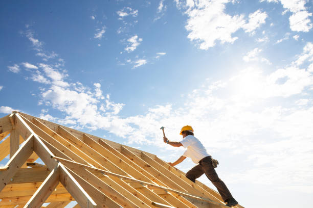 Best Roof Installation  in Davis Junction, IL